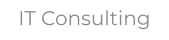 IT Consulting